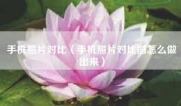 手机照片对比（手机照片对比图怎么做出来）