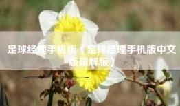 足球经理手机版（足球经理手机版中文版破解版）