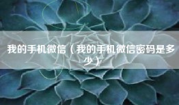 我的手机微信（我的手机微信密码是多少）