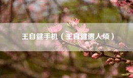 王自健手机（王自健遭人烦）