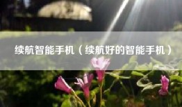 续航智能手机（续航好的智能手机）