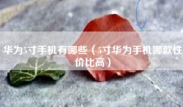 华为5寸手机有哪些（5寸华为手机哪款性价比高）