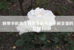 腕带手机壳（腕带手机壳和手腕支架的区别）