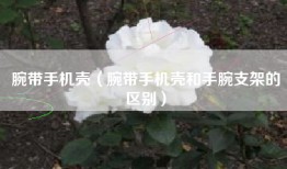 腕带手机壳（腕带手机壳和手腕支架的区别）
