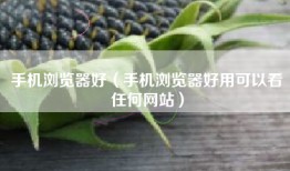 手机浏览器好（手机浏览器好用可以看任何网站）
