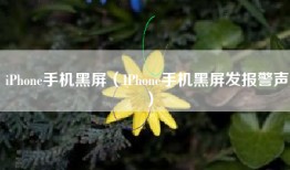 iPhone手机黑屏（IPhone手机黑屏发报警声）
