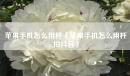 苹果手机怎么用杆（苹果手机怎么用杆拍抖音）