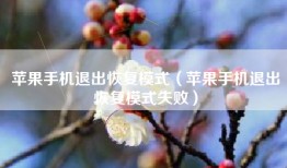 苹果手机退出恢复模式（苹果手机退出恢复模式失败）