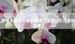 苹果手机怎么录制屏幕（苹果8p怎么录制屏幕）