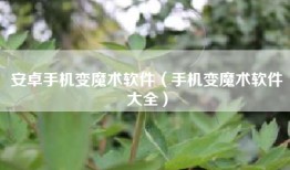 安卓手机变魔术软件（手机变魔术软件大全）