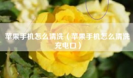 苹果手机怎么清洗（苹果手机怎么清洗充电口）