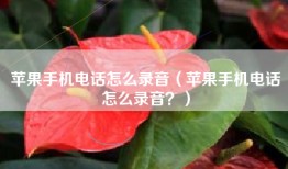 苹果手机电话怎么录音（苹果手机电话怎么录音？）