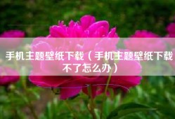 手机主题壁纸下载（手机主题壁纸下载不了怎么办）
