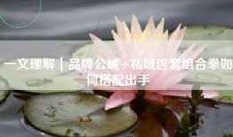 一文理解｜品牌公域+私域这套组合拳如何搭配出手