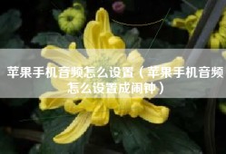 苹果手机音频怎么设置（苹果手机音频怎么设置成闹钟）