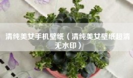 清纯美女手机壁纸（清纯美女壁纸超清无水印）