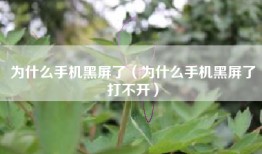 为什么手机黑屏了（为什么手机黑屏了打不开）
