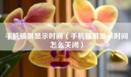 手机锁屏显示时间（手机锁屏显示时间怎么关闭）