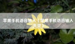 苹果手机语音输入（苹果手机语音输入失灵）