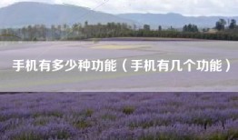 手机有多少种功能（手机有几个功能）