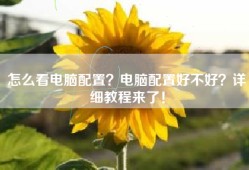 怎么看电脑配置？电脑配置好不好？详细教程来了！