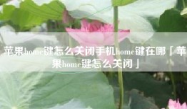 苹果home键怎么关闭手机home键在哪「苹果home键怎么关闭」