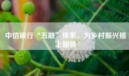 中信银行“五融”体系，为乡村振兴插上翅膀
