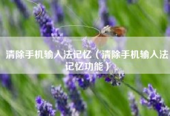 清除手机输入法记忆（清除手机输入法记忆功能）