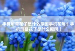 手机屏幕花了是什么原因手机花屏「手机屏幕花了是什么原因」