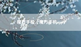 魔方手机（魔方手机app）