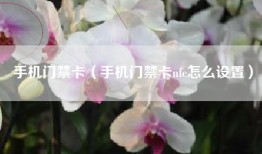 手机门禁卡（手机门禁卡nfc怎么设置）