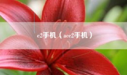e2手机（ace2手机）