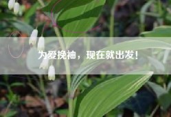 为爱挽袖，现在就出发！