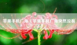苹果手机广角（苹果手机广角突然没有了）
