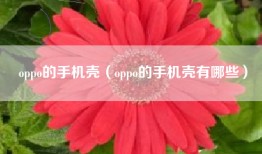 oppo的手机壳（oppo的手机壳有哪些）