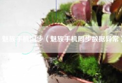 魅族手机同步（魅族手机同步数据异常）