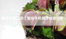 魅族手机同步（魅族手机同步数据异常）