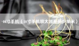 10寸手机（10寸手机放大器是多少厘米）