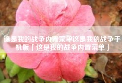 这是我的战争内置菜单这是我的战争手机版「这是我的战争内置菜单」