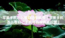 苹果手机怎么看自己手机号（苹果手机怎么看自己手机号有没有被拉黑）