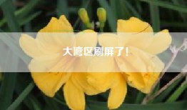 大湾区刷屏了！