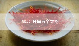 NBA：开局五个大招