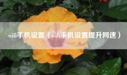 wifi手机设置（wifi手机设置提升网速）