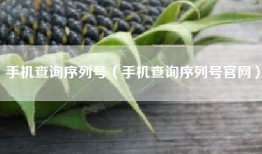 手机查询序列号（手机查询序列号官网）