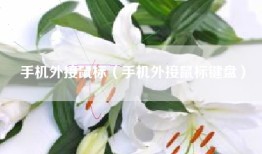 手机外接鼠标（手机外接鼠标键盘）