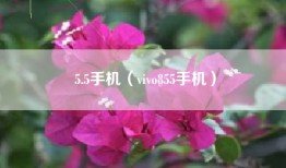5.5手机（vivo855手机）