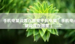手机电量设置在哪里手机电量「手机电量设置在哪里」