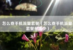 怎么查手机流量套餐（怎么查手机流量套餐是多少）