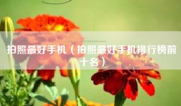 拍照最好手机（拍照最好手机排行榜前十名）