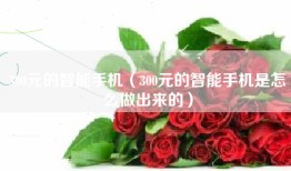 300元的智能手机（300元的智能手机是怎么做出来的）